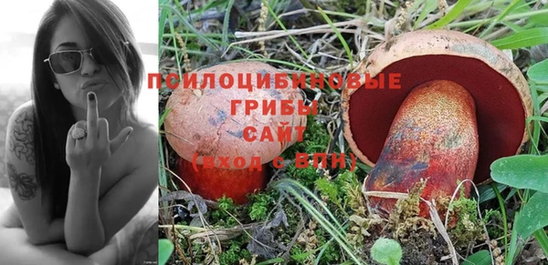 стафф Абаза