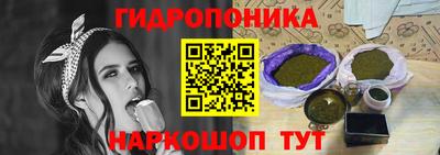 гидра Можга