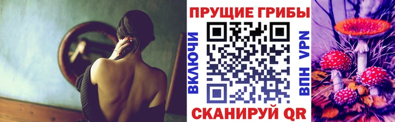 гидра зеркало Воронеж Псилоцибиновые грибы GOLDEN TEACHER