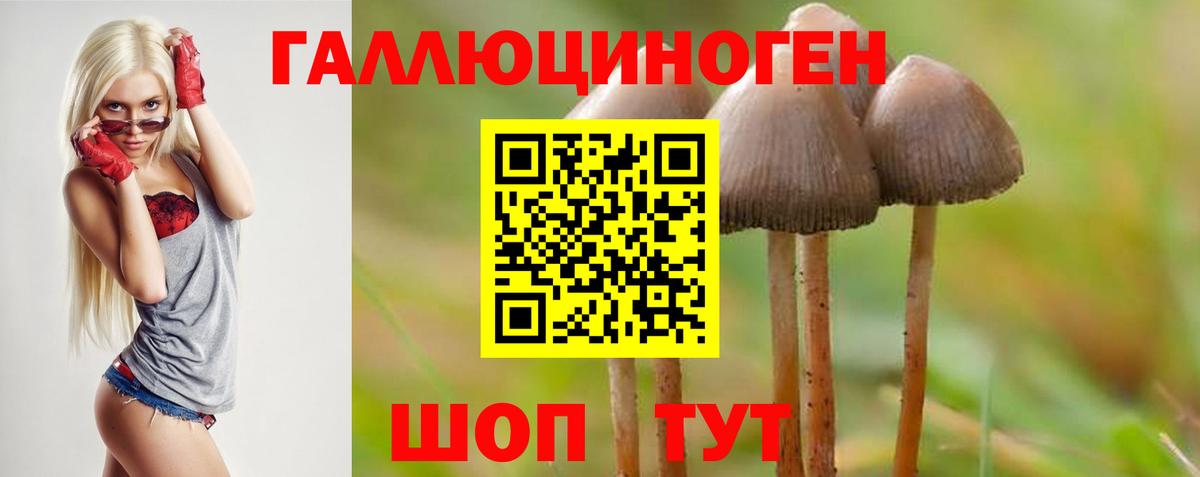 Псилоцибиновые грибы ЛСД Воронеж